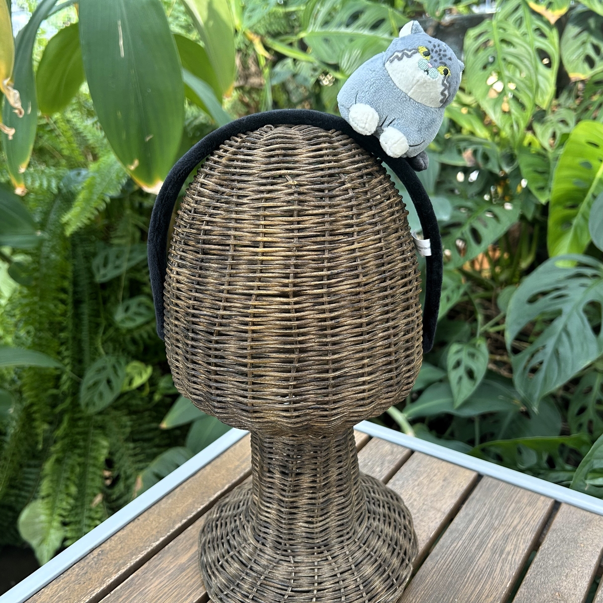 カチューシャ マヌルネコ | 神戸どうぶつ王国NS